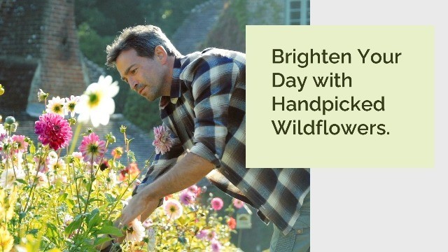 Wildflower Mixed Seeds for Planting – 1 lb, 480,000+ Seeds, Attracts Pollinators