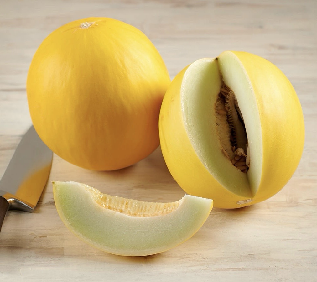 100 Golden Honey Dew Seeds So Incredible My Fav Melon! Sweet & Flavorful