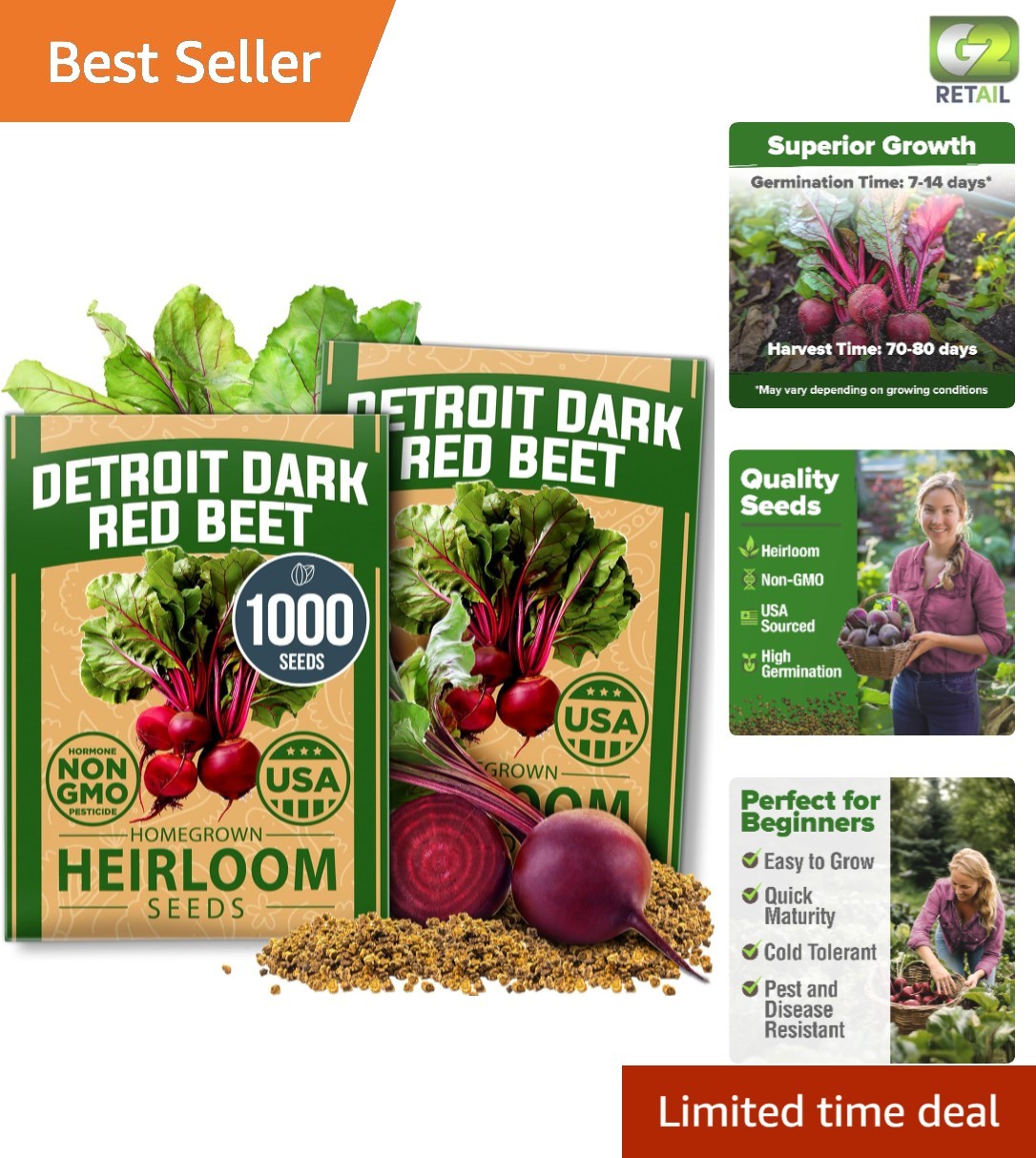 Detroit Dark Red Beet Seeds 2 Pack – Non-GMO, High Germination for Easy Growing