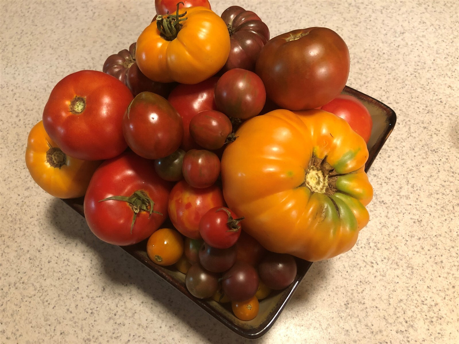 27 Varieties Organic Non-GMO Heirloom Tomatoes, 10/25/50/100 Seeds FREE SHIPPING