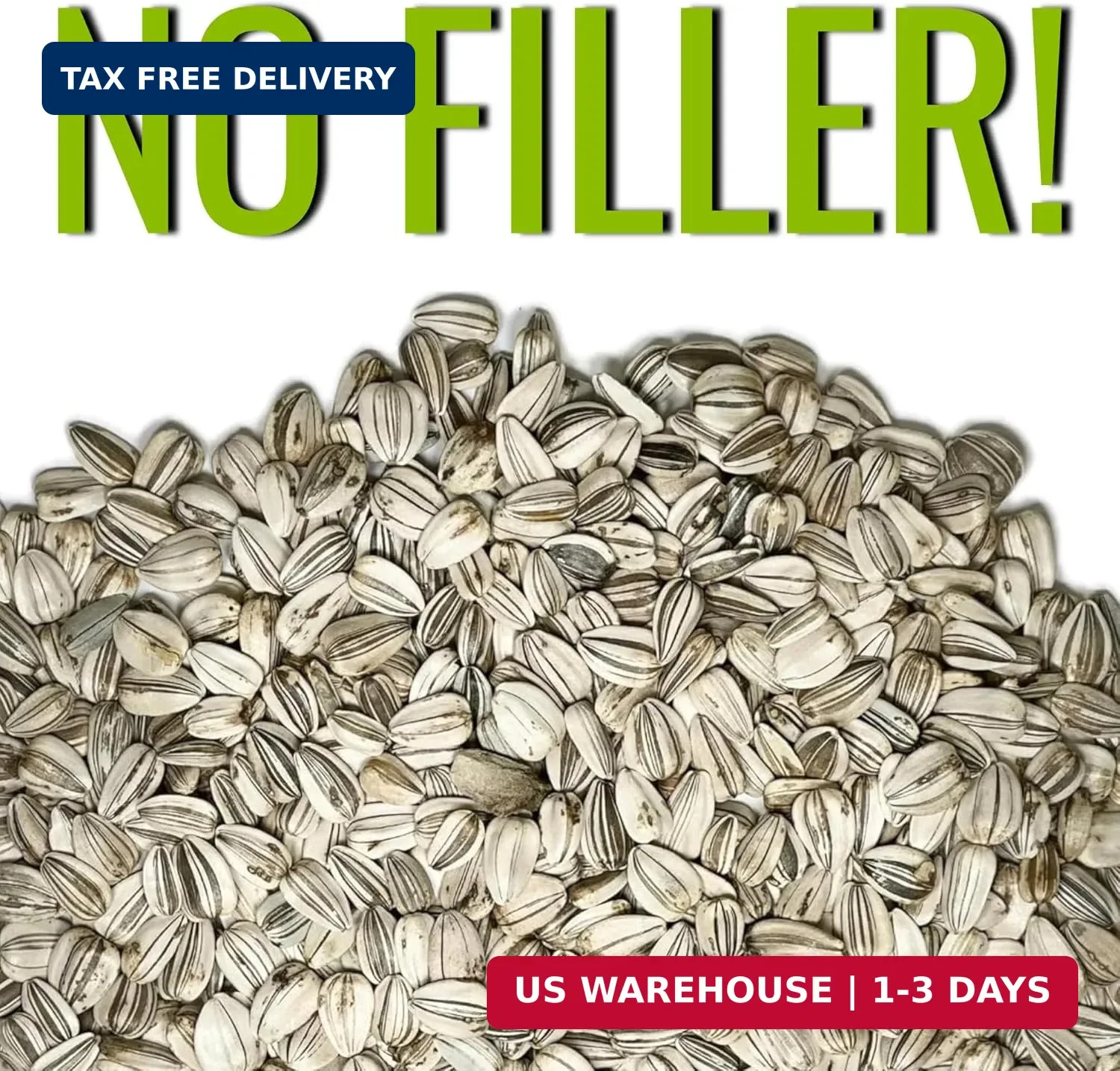 Seed Needs Sunflower Seeds to Plant 600+ Mammoth Grey Stripe Seeds | Heirloom Se