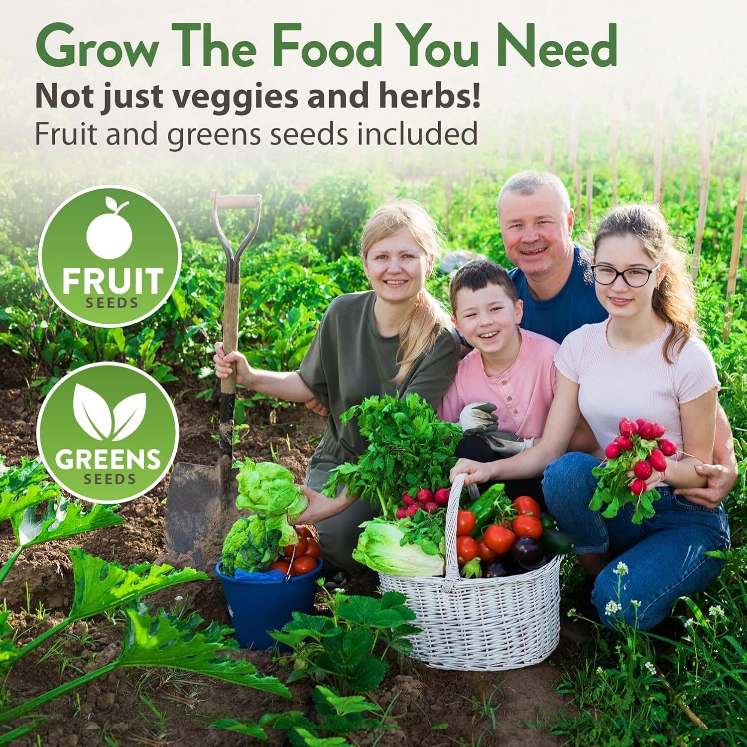 32,000+ Heirloom Seeds – 70 Unique Non-GMO Varieties for Indoor/Outdoor Garde…