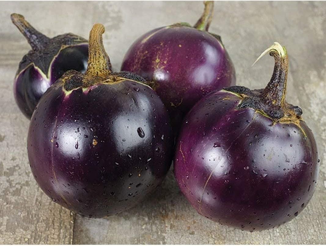Thai Round Purple Eggplant Seeds (80 Seed )