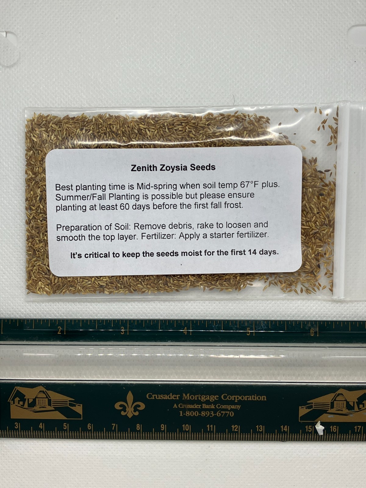 (2 Pack) Zenith Zoysia Grass Seed – More Than 10,000 Seeds! for Lush Lawn Growth
