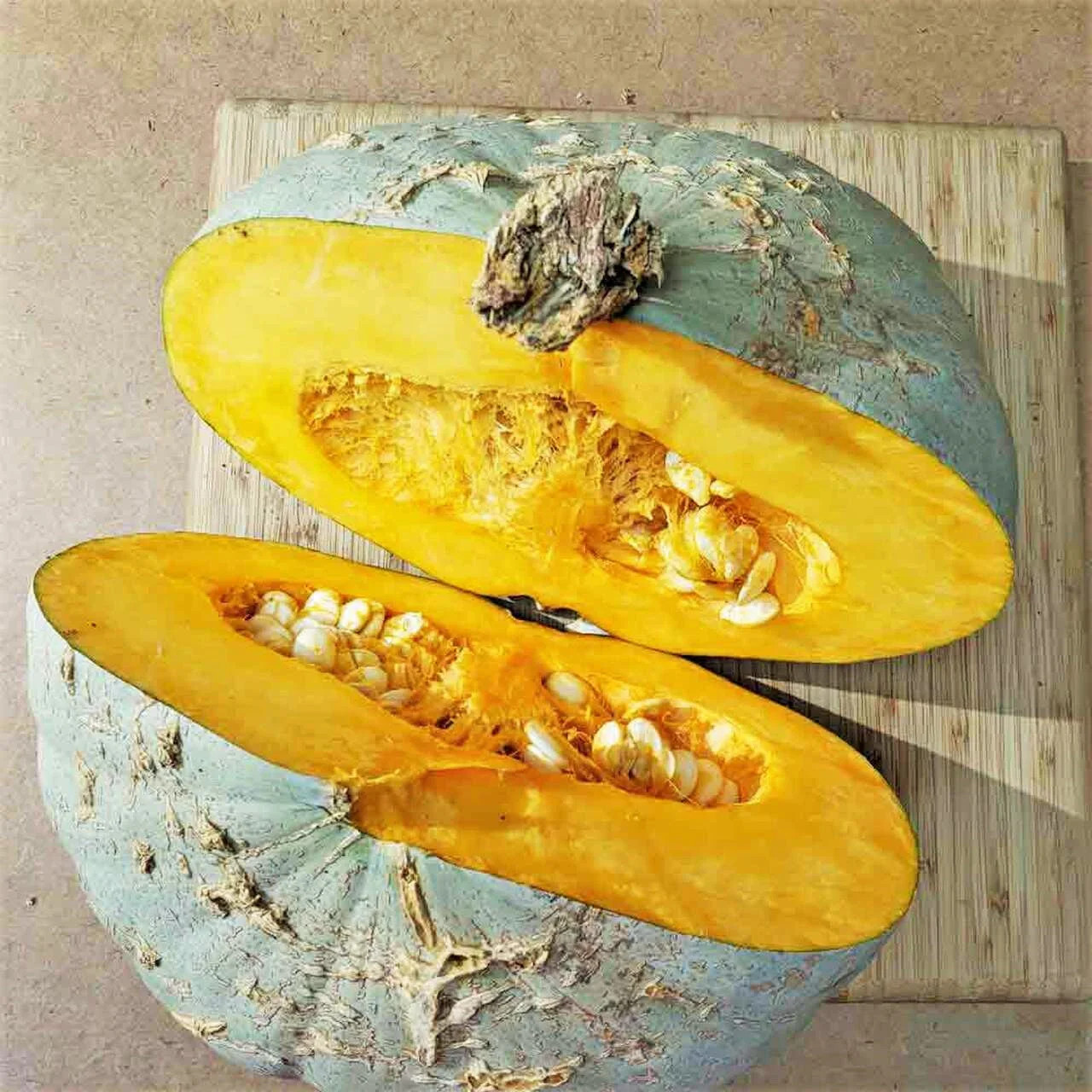 Sweet Meat Winter Squash Seeds | Blue Kuri Kabocha Jarrahdale Kabocha Seed 2024