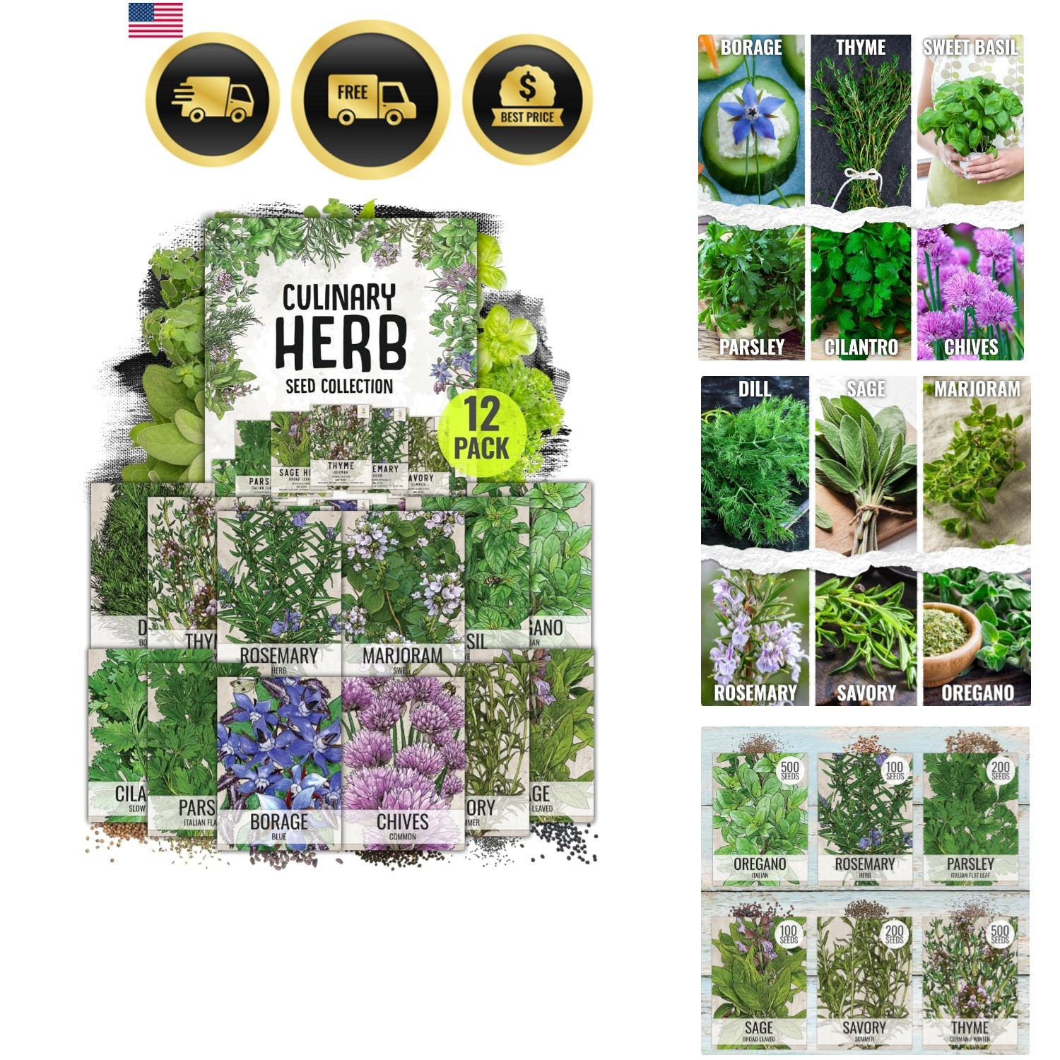 Herb Seeds Variety Pack Culinary Herb Collection 12 Individual Packets for Pl…