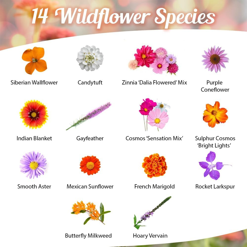 Monarch Butterfly Rescue Wildflower Seed Packet – 1Oz, Open-Pollinated Wildflowe