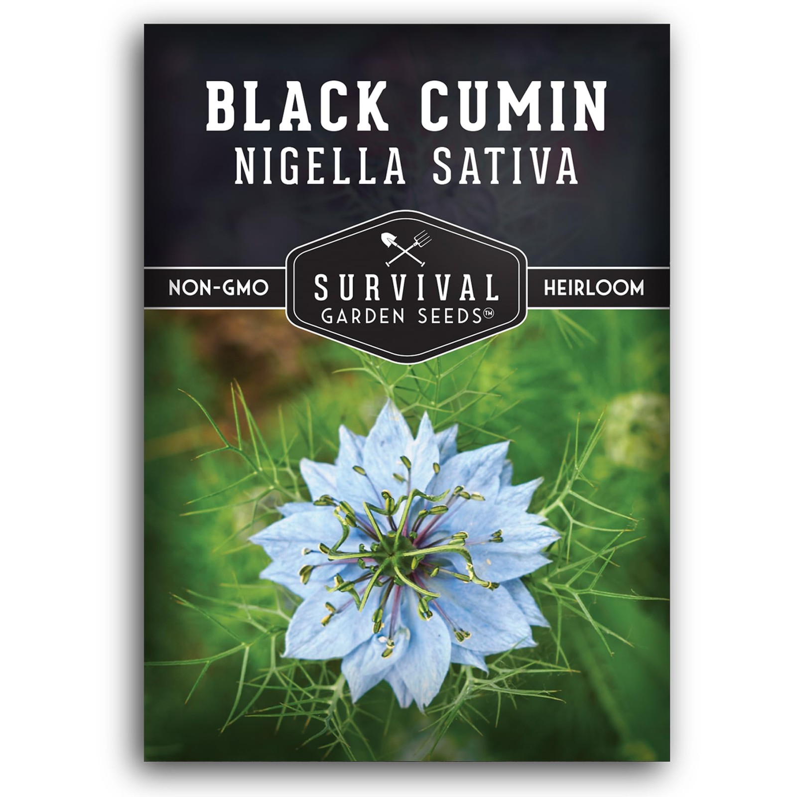 Black Cumin for Planting – 1 Packet with Instructions to Plant and Grow Benef…