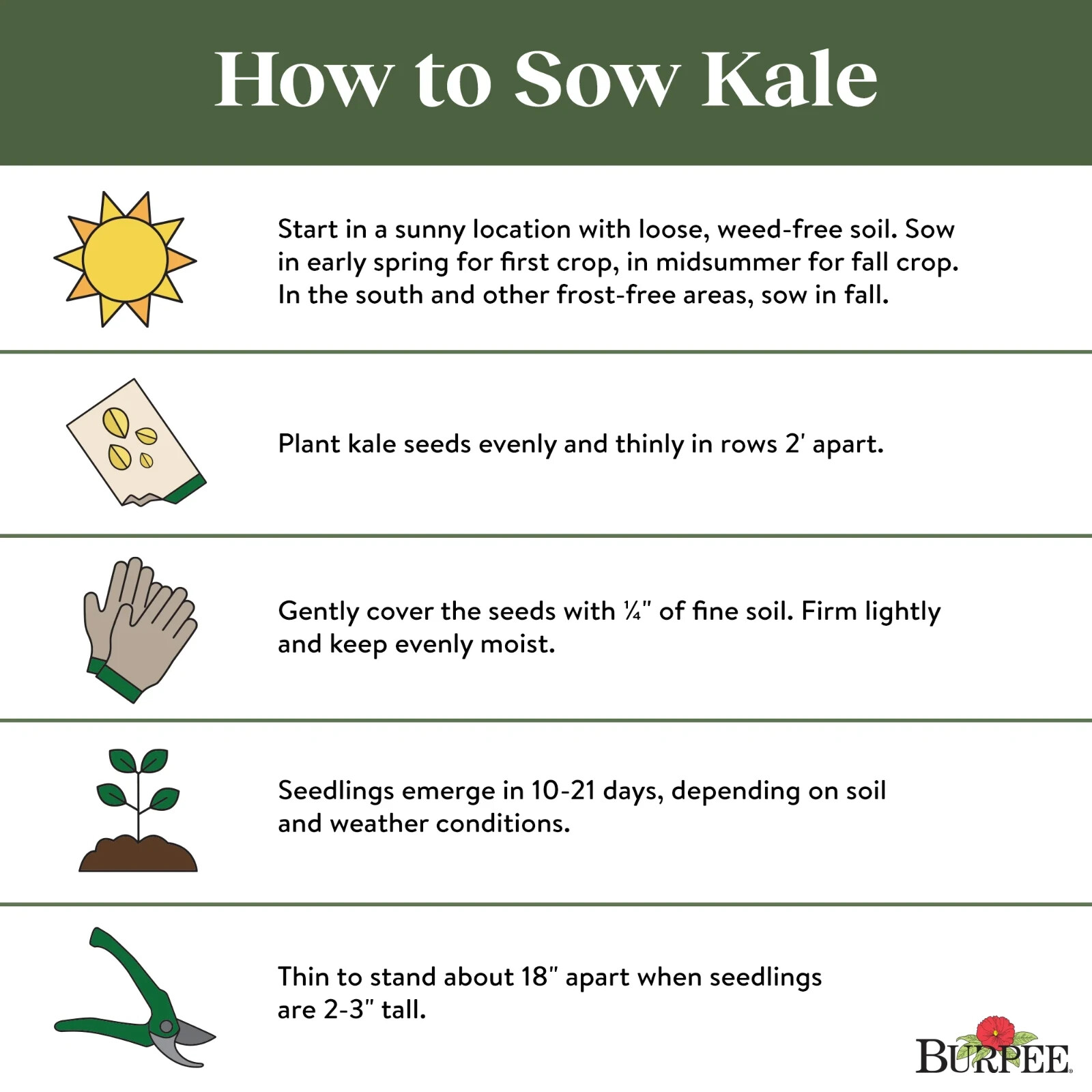 Burpee USDA Organic Premier Kale Vegetable Seeds Full Sun Seed Packet Deep Green