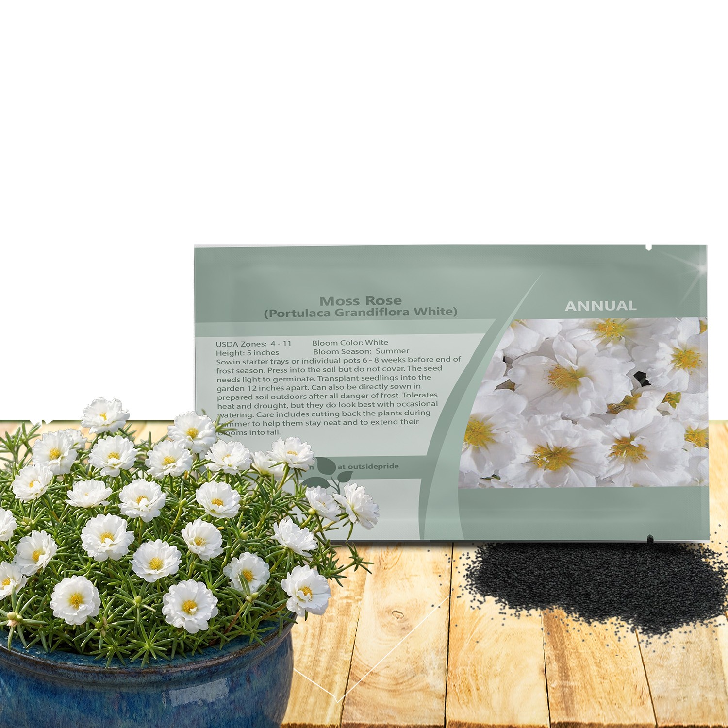 250 Seeds Drought Tolerant White Portulaca Moss Rose Ground Cover Plant &