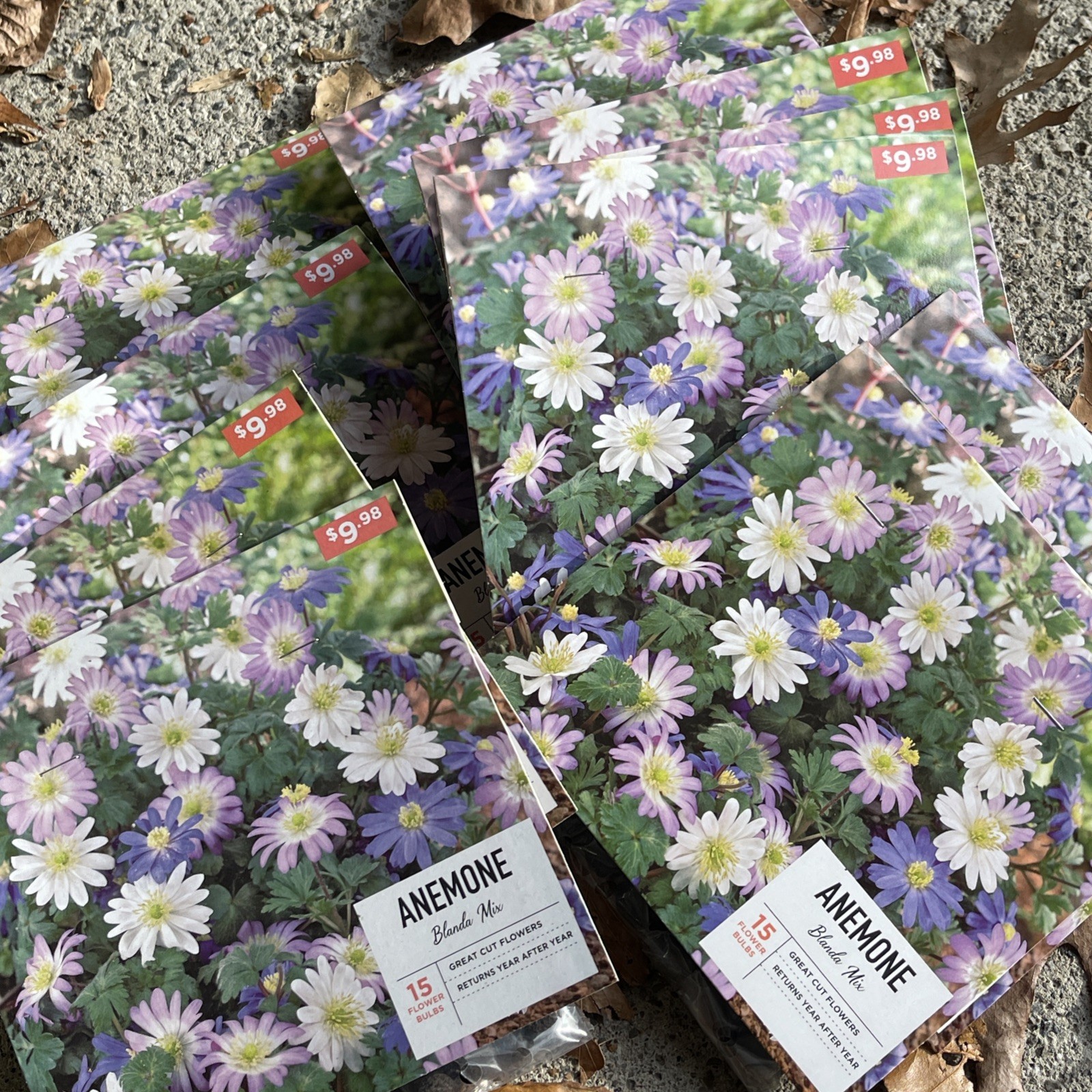 150 COUNT! ANEMONE “BLANDA MIX” COLORS: PURPLE WHITE LILAC YELLOW IVORY