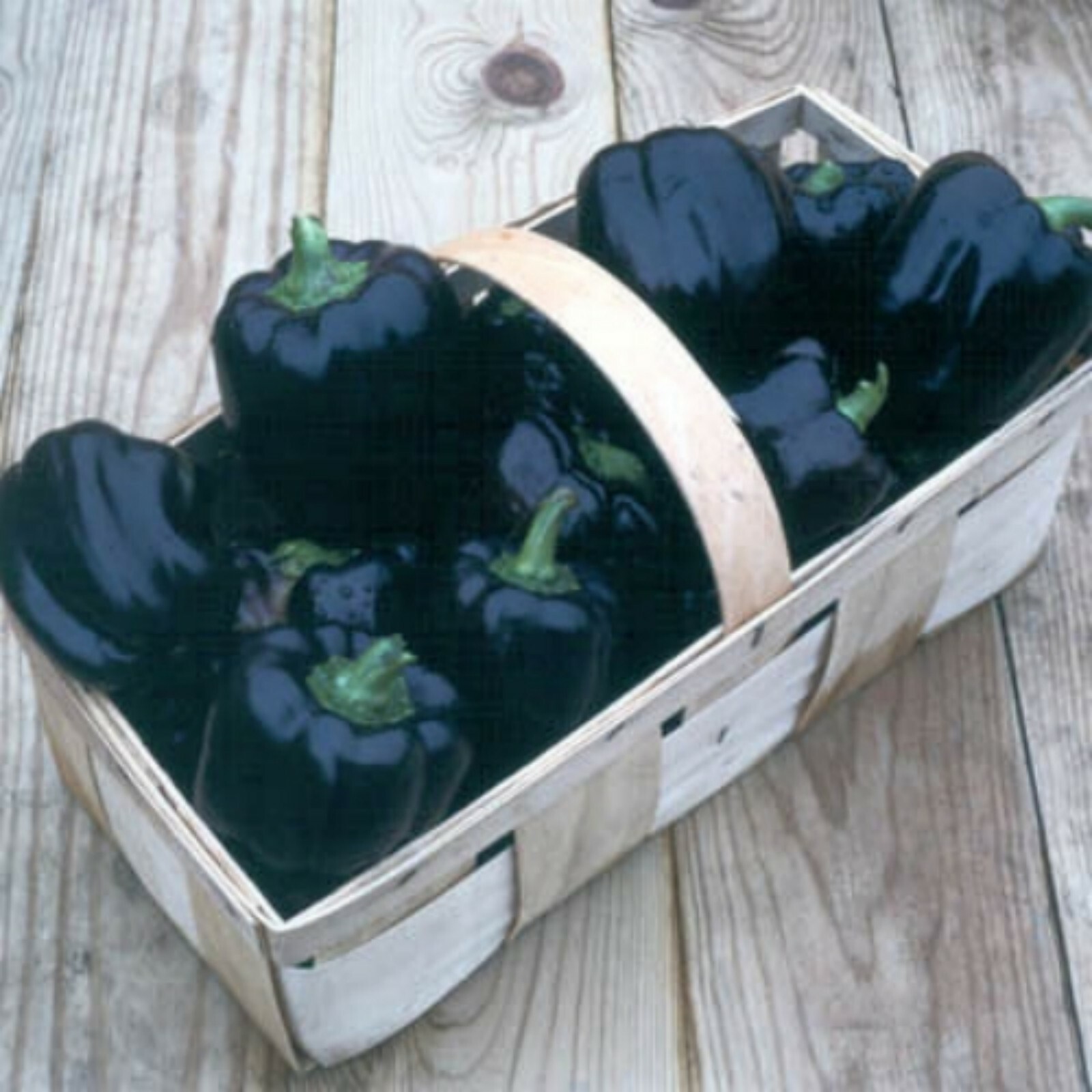 Purple Beauty Pepper Seeds- Heirloom- 50+ 2021 Season Pepper Seeds