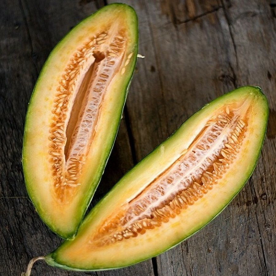 Banana Melon Cantaloupe Seeds 50+ Muskmelon Fruit Heirloom USA FREE SHIPPING