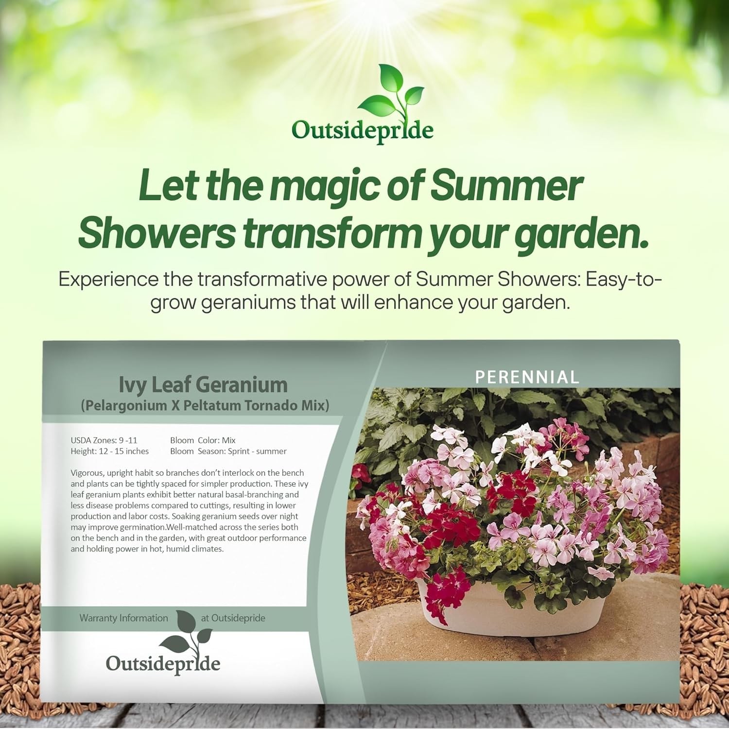 20 Seeds Flower Seed – Ivy Leaf Geranium Seeds Mix