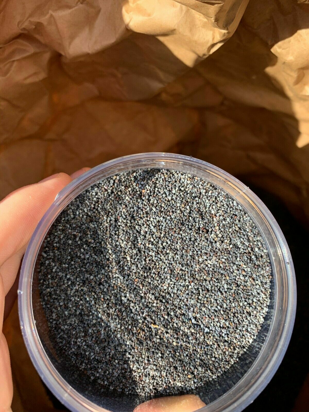 NEW HARVEST Papaver 4 Lbs Of Premium Poppy Seeds Best Seeds Out Now! A+ 4 Pounds