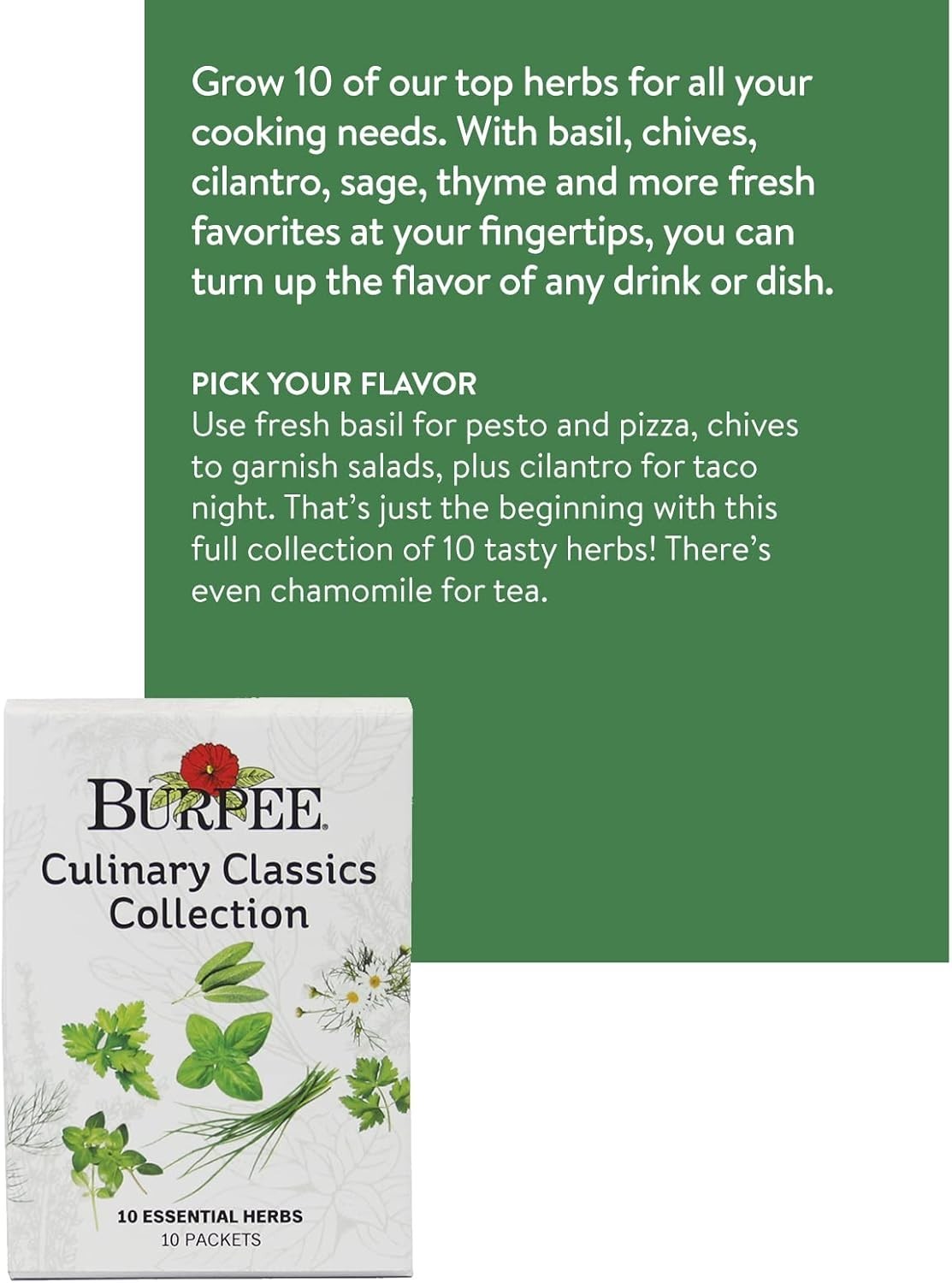 Culinary Classics Herb Collection 10 Pack Non-GMO Seeds Indoor Outdoor Kitche…