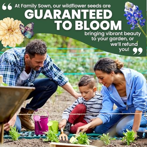Texas Bluebonnet – 400 Seeds for Planting – 2026 Season – 0.5 Ounce 1/2 Ounce