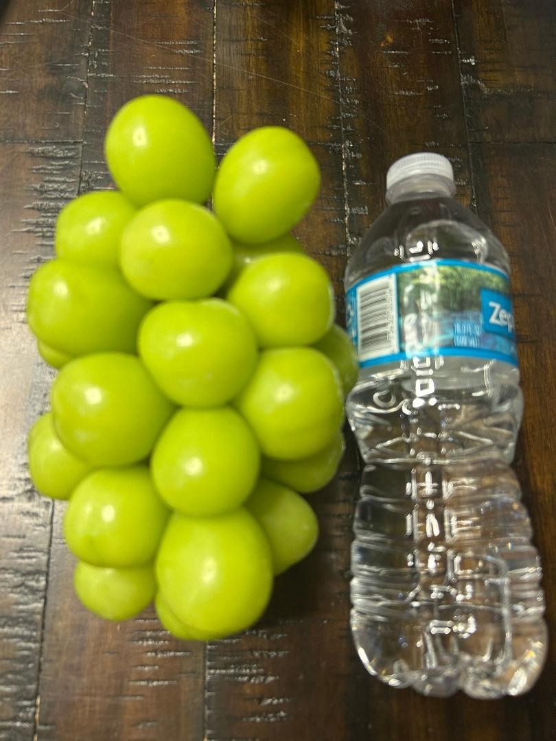 Shine Muscat Seedless grape- 3 fresh cuttings, no roots, rooting or grafting