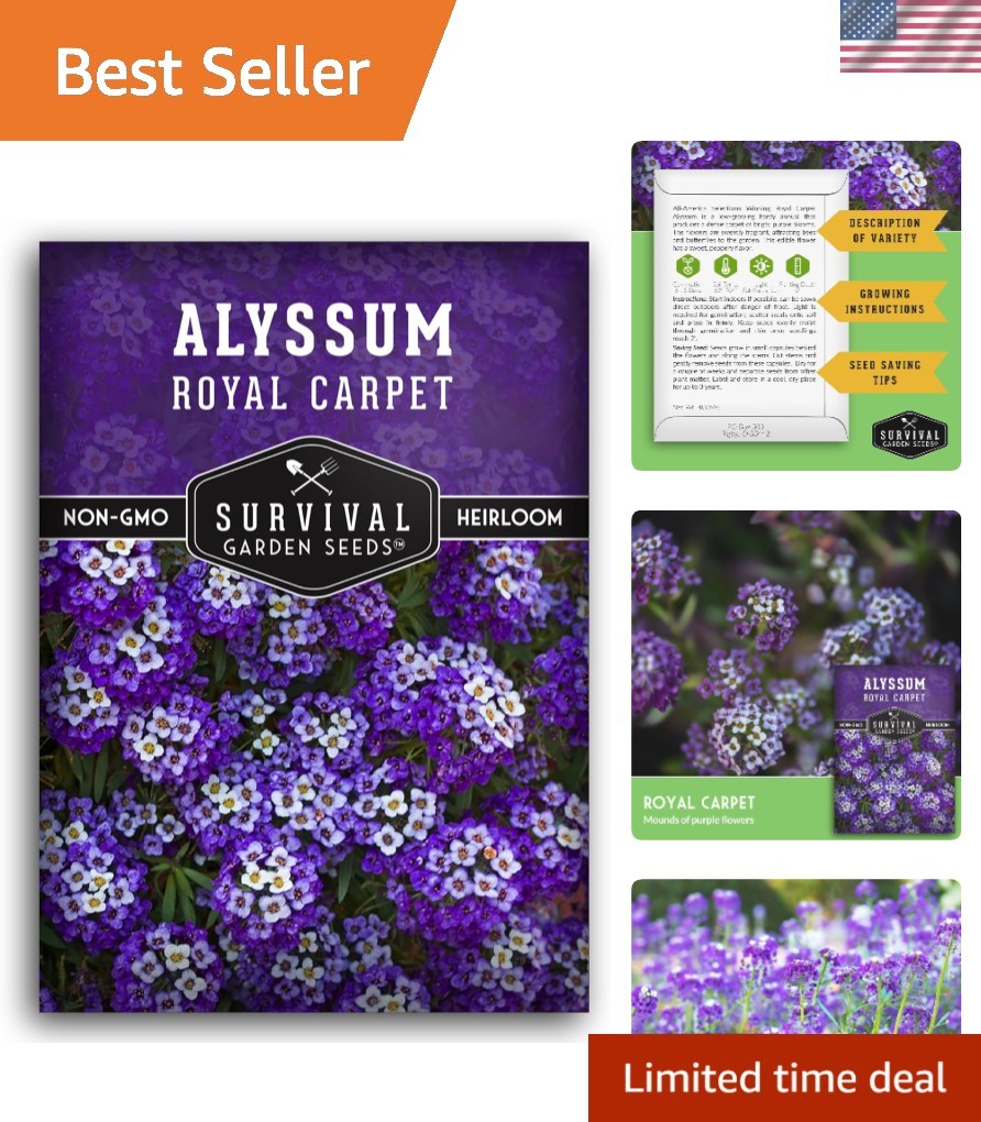 Self-Seeding Purple Alyssum Seeds – Heirloom Non-GMO with Extended Bloom Time