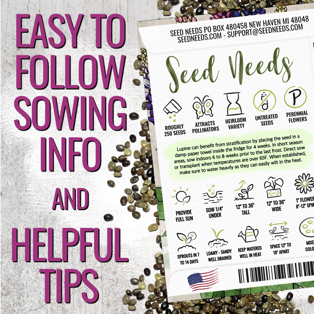 Lupine Russell Seeds For Planting (Lupinus polyphyllus)