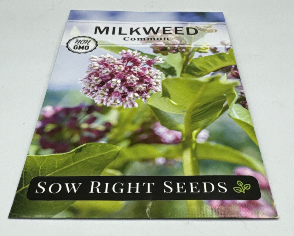 Common Milkweed Flower Seeds Packet 1/2 Gram by Sow Right Seeds. New