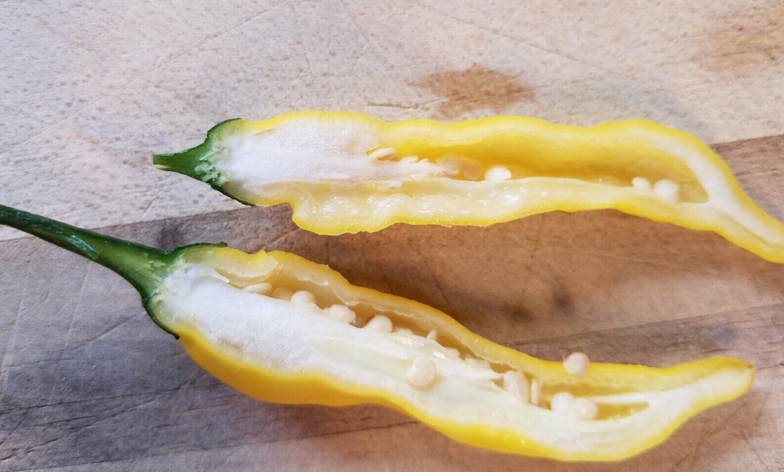 Lemon Drop / Aji Limon Pepper (25 Seeds) Free Shipping,crisp and spicy!