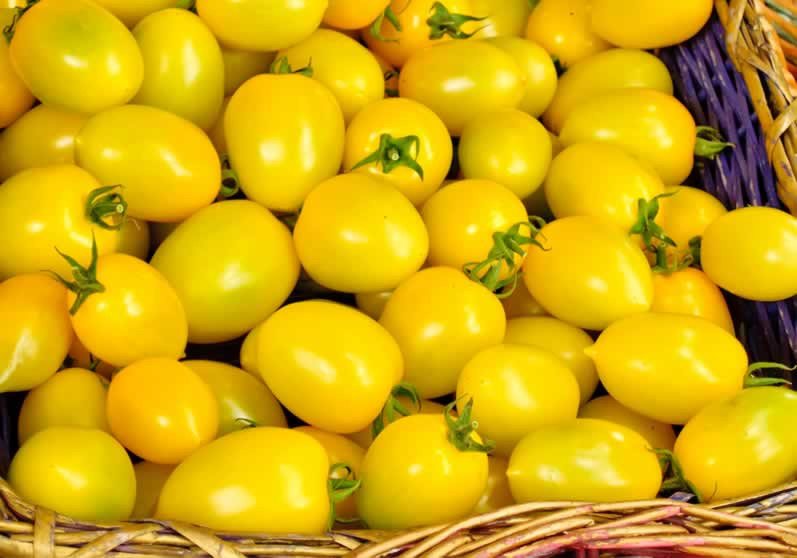 40 SEEDS – tomato, YELLOW PLUM – TOMATO, USA GroCo* – BUY 15-SHIPS FREE