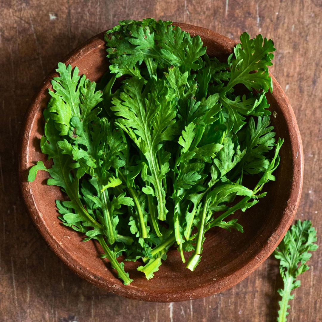 Fresh Chrysanthemum Greens Seeds | Tong Hao | Heirloom Non-GMO | Asian Vegetable