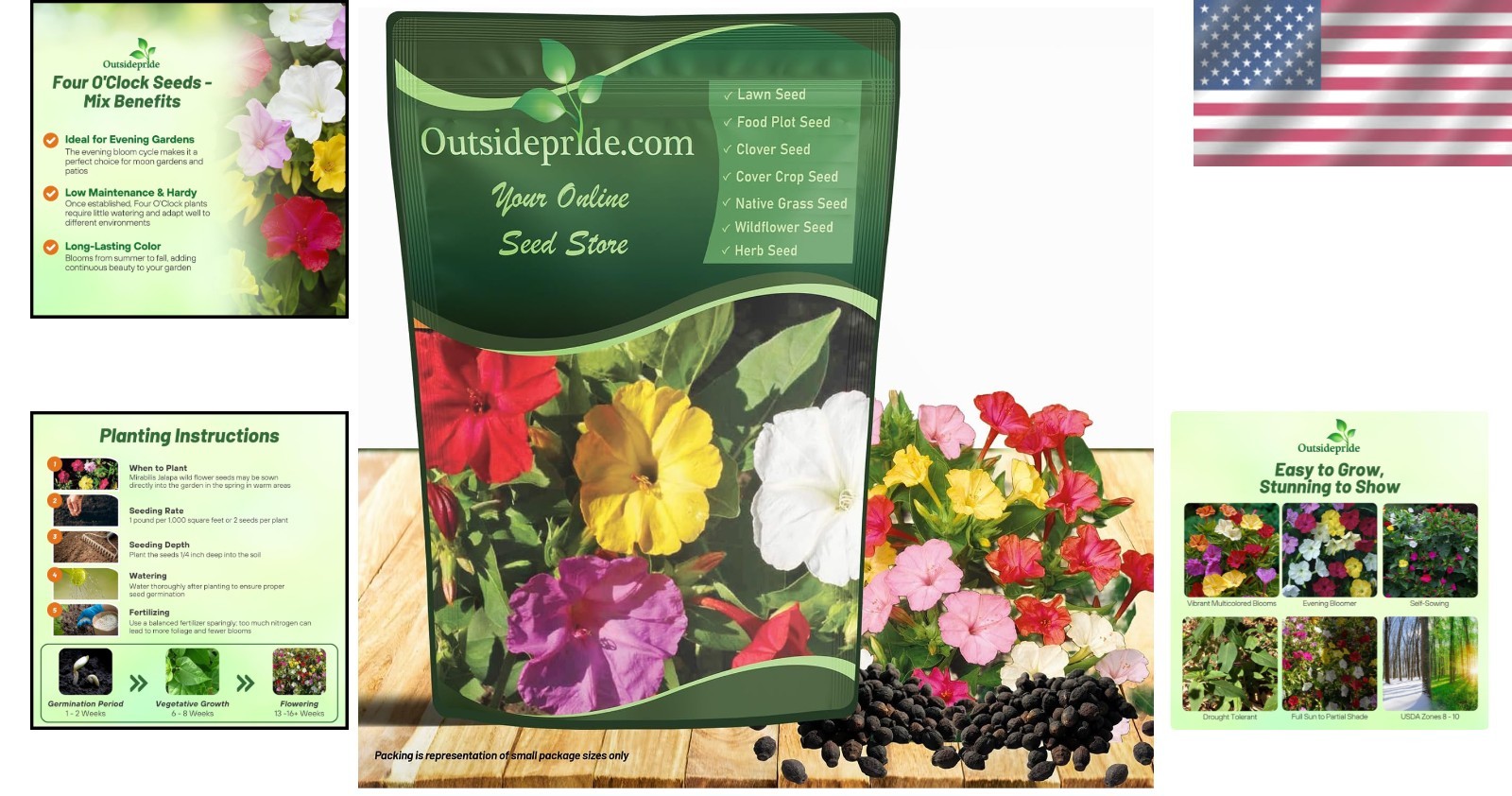 Attract Hummingbirds & Butterflies: Four O’clock Seeds