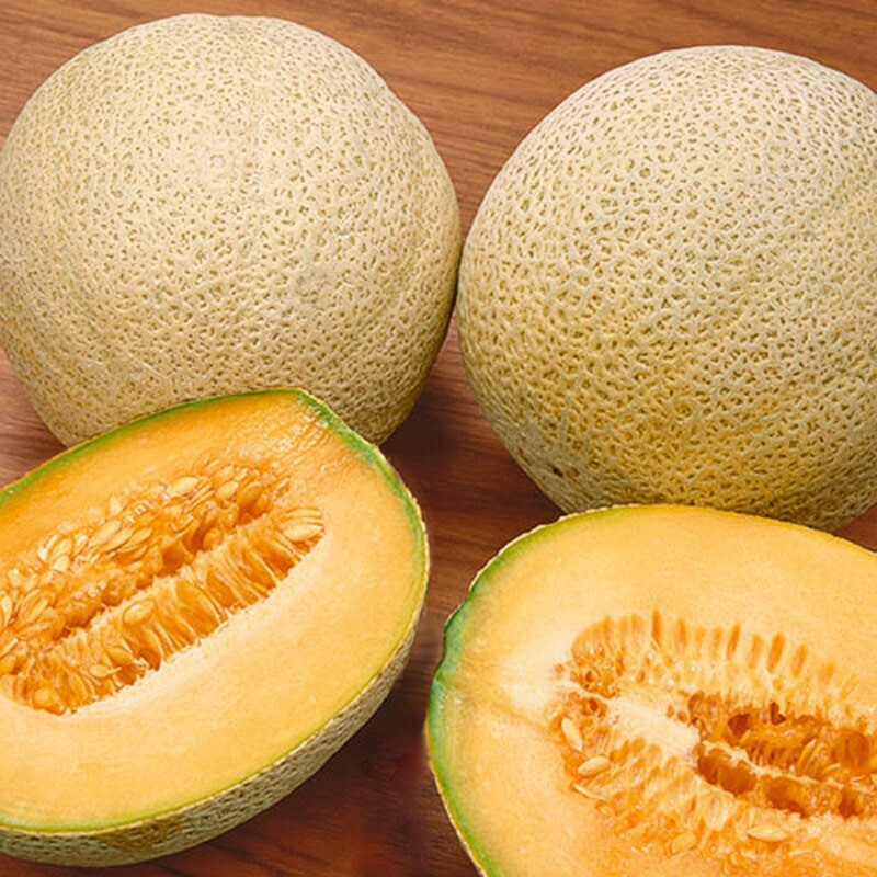 Honey Rock Melon Seeds, Cantaloupe, Sugar Rock, NON-GMO, FREE SHIPPING