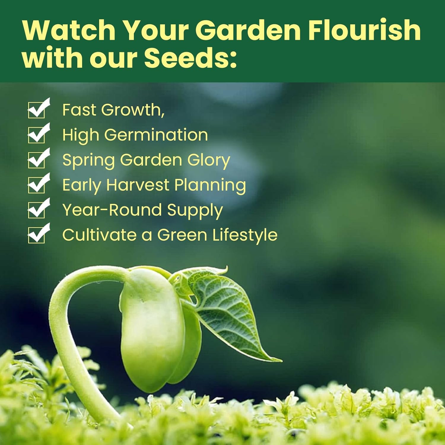 【Seed Vault】 Heirloom Vegetable Seeds Planting Kit – 15,000+ Non-Gmo Seeds for H