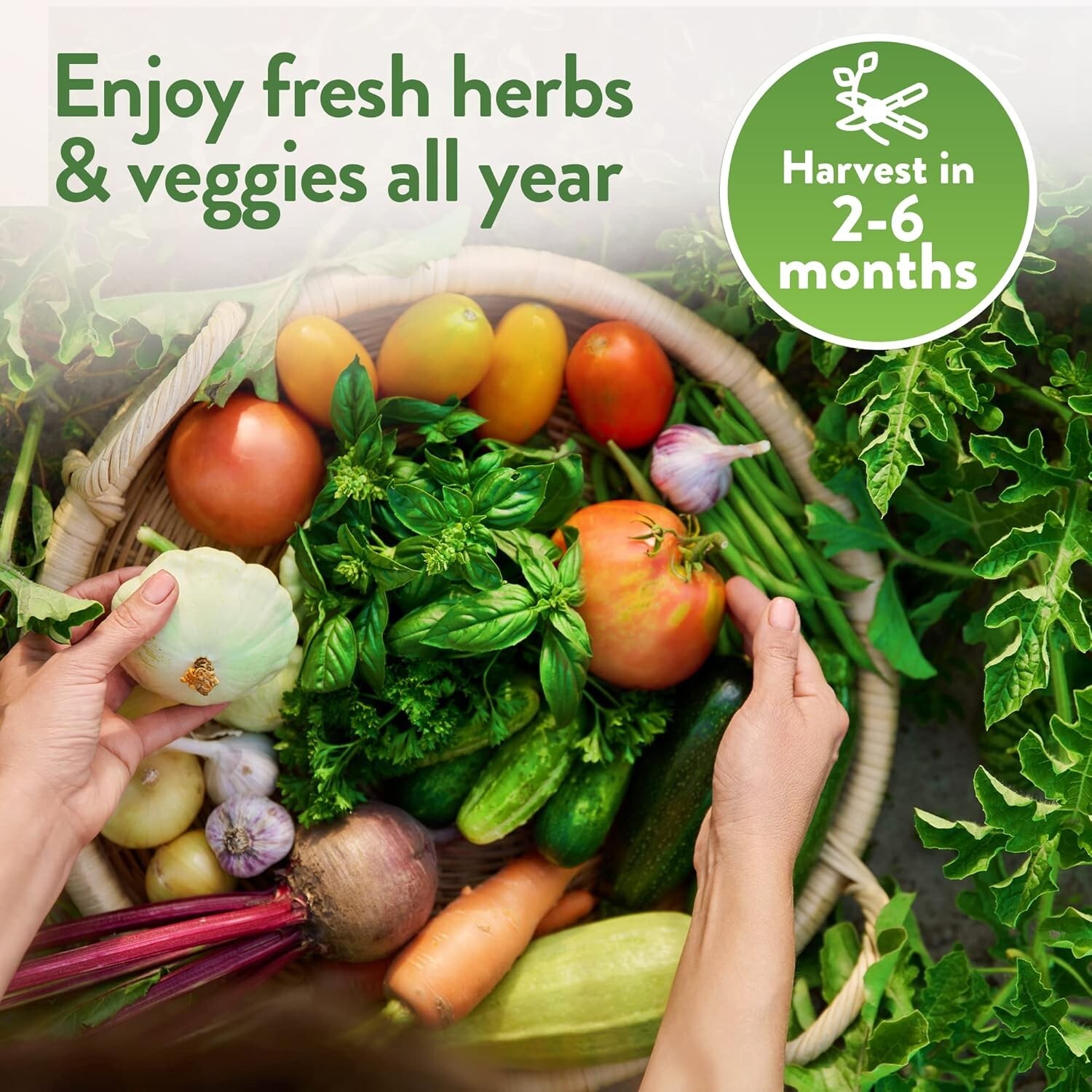 32,000+ Heirloom Seeds – 70 Unique Non-GMO Varieties for Indoor/Outdoor Garde…