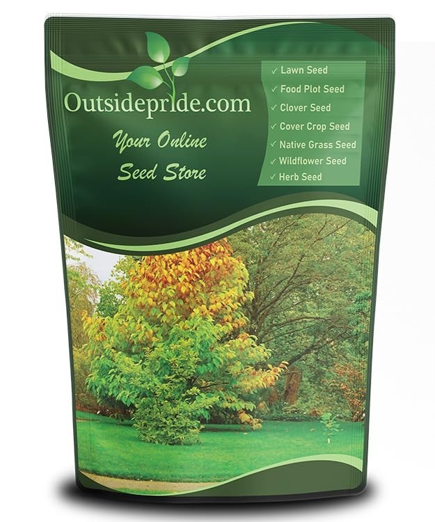 Fine Fescue Grass Seed – 5 lbs, Low-Growing, Drought & Shade-Tolerant, Dense Tur
