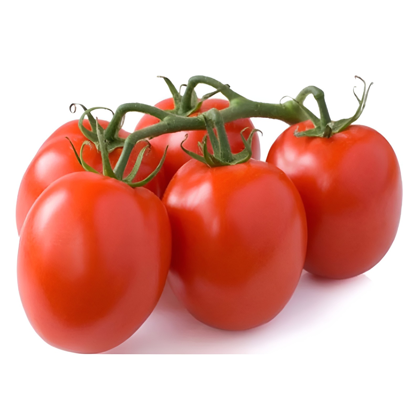 100 Heirloom Roma VF Tomato Seeds – Highly Disease Resistant Determinate Roma