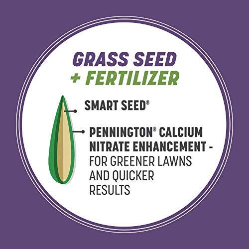 7 lb Pennington Smart Seed Dense Shade Grass Seed for Low Sunlight Areas