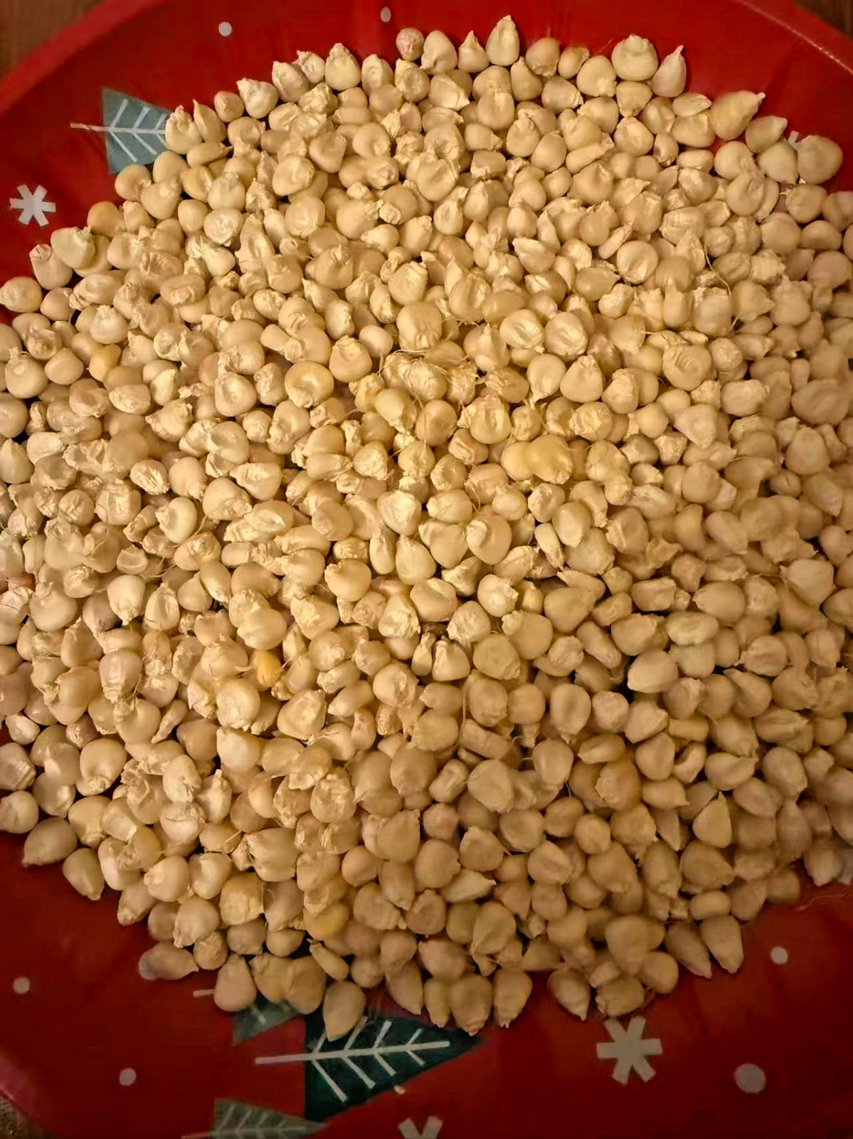 Organic Sweet Sticky Waxy White Glutinous Corn Non-GMO 糯玉米