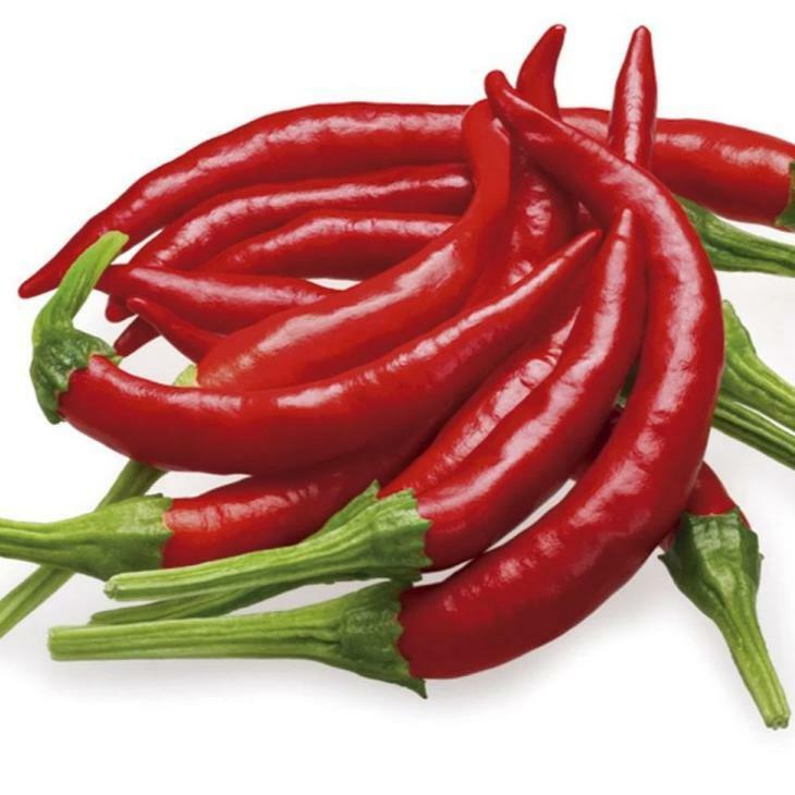 50+ SEEDS ARBOL CHILE/CHILE DE ARBOL HOT PEPPER FRESH SEEDS