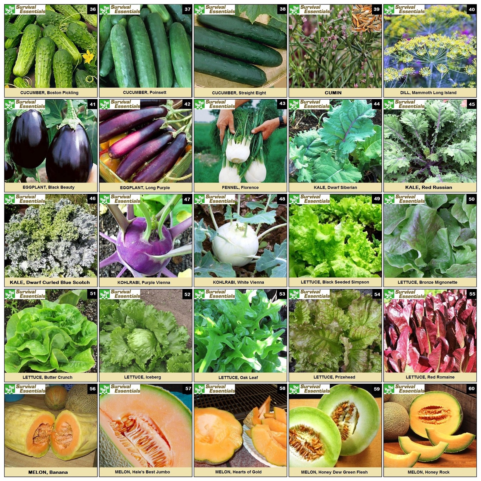 Heirloom Seeds for Planting Vegetables and Fruits – 135 Variety Vault – Medic…