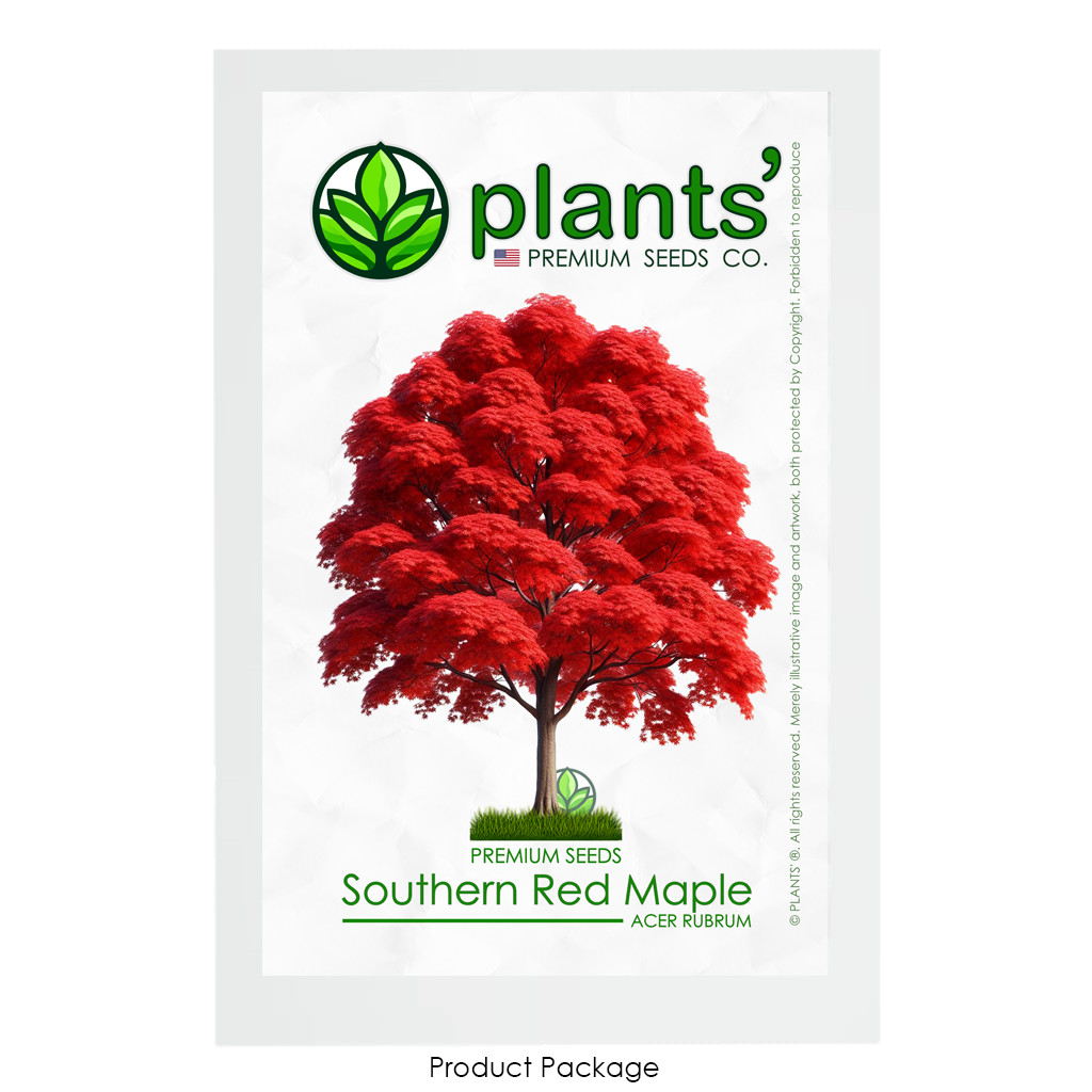 Southern Red Maple Tree | Premium Seeds | Acer rubrum ‘Fall’ | Plants’®