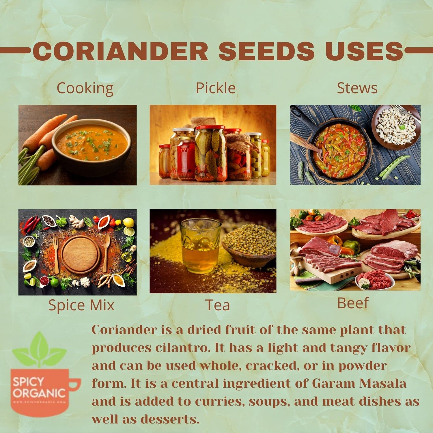 SPICY ORGANIC Whole Coriander Seeds (Semillas De Cilantro) – 8 Oz Bulk – Non-Gmo