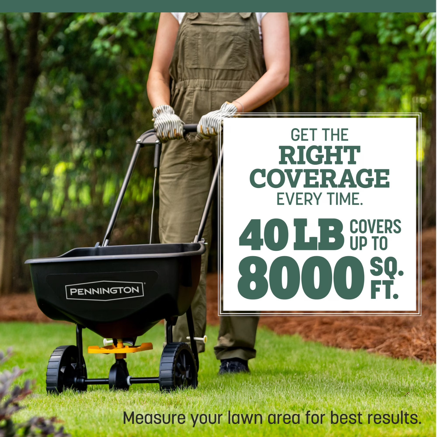 Hot Pennington Kentucky 31 Tall Fescue Grass Seed 40 lb Sun Shade Lawn Repair