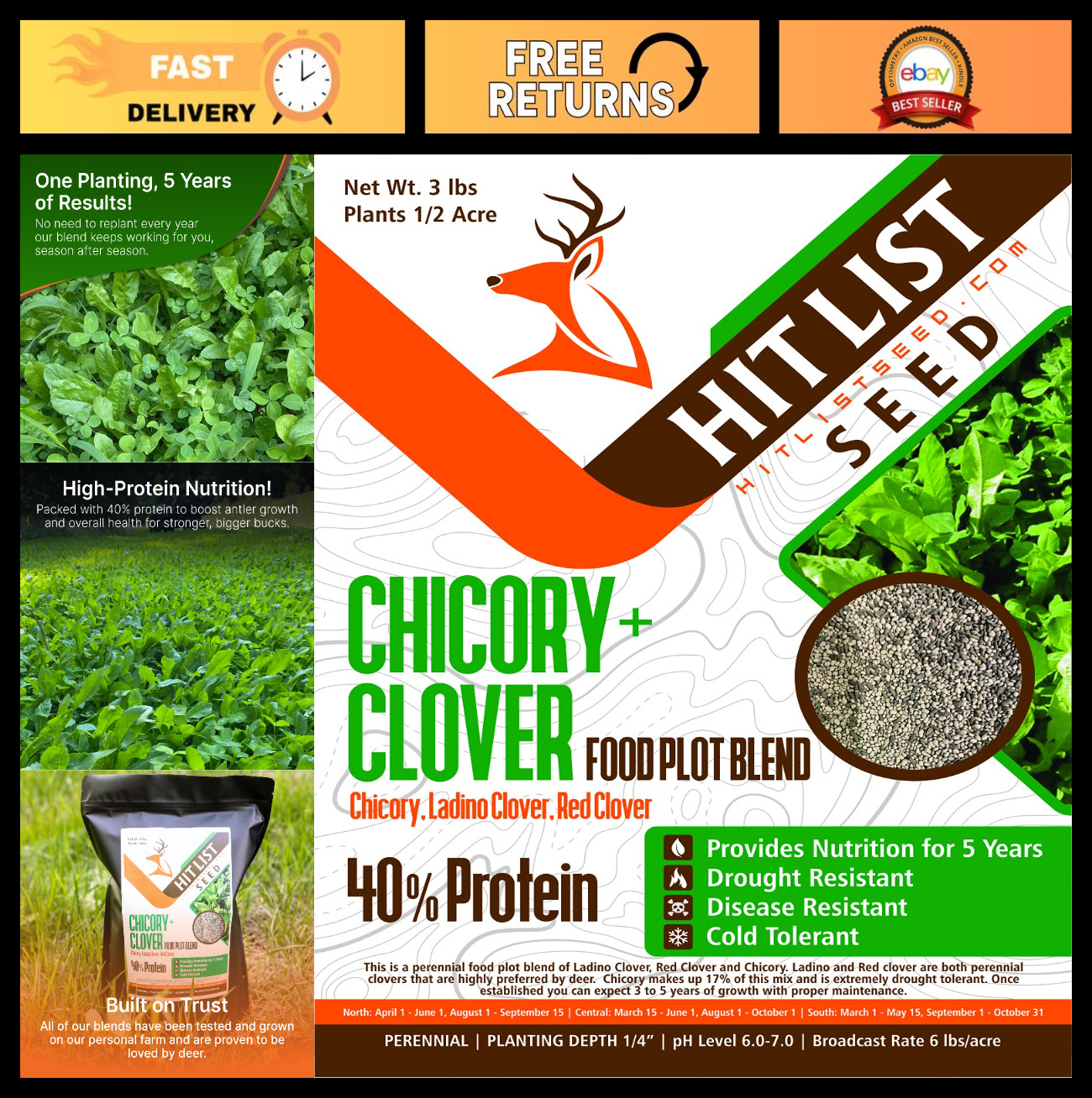 Chicory & Clover Food Plot Seeds for Deer – Perennial Mix for Spring, Summer, Fa