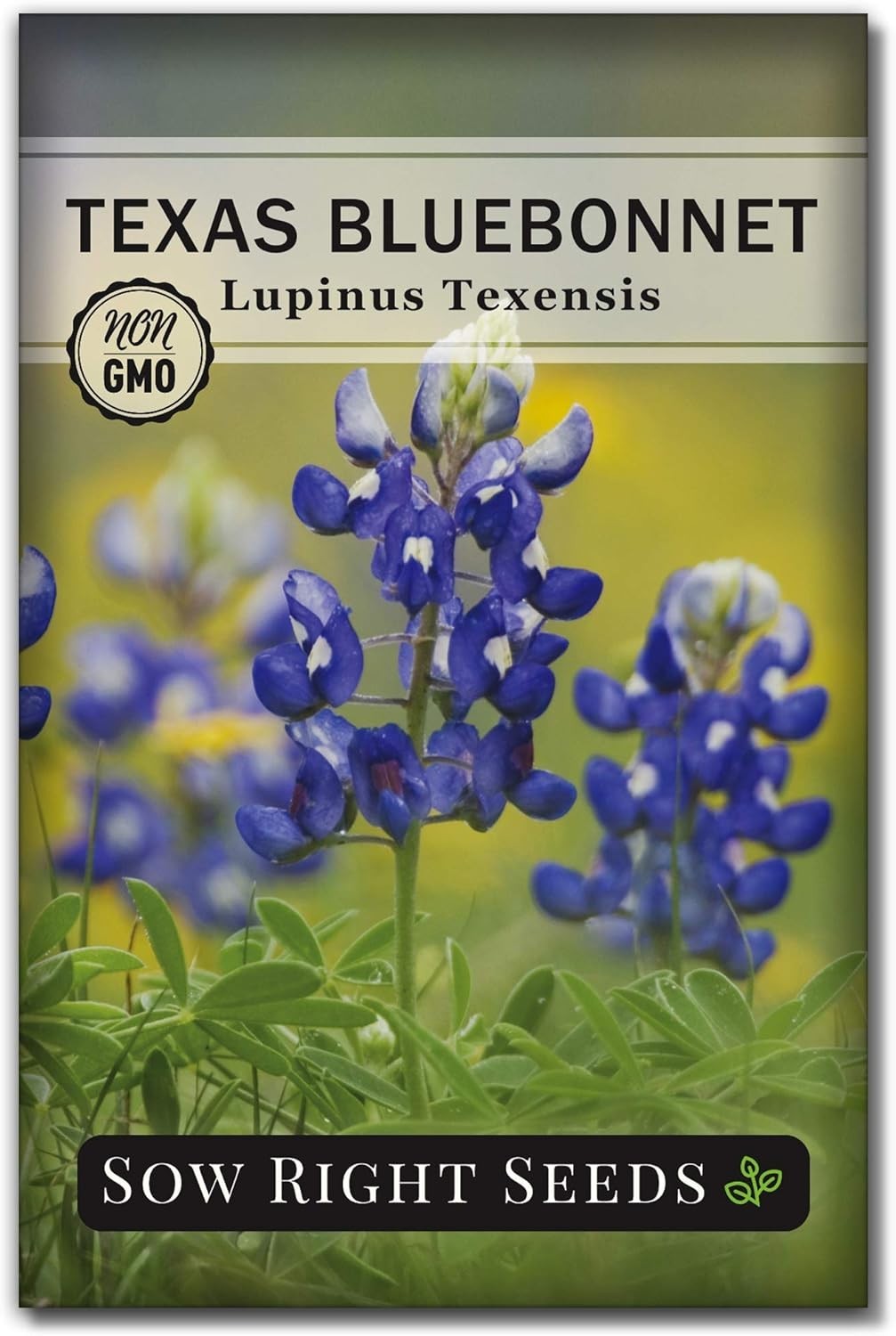 Beautiful Bluebonnet Seeds – 1 Count, Full Instructions for Quick Germination