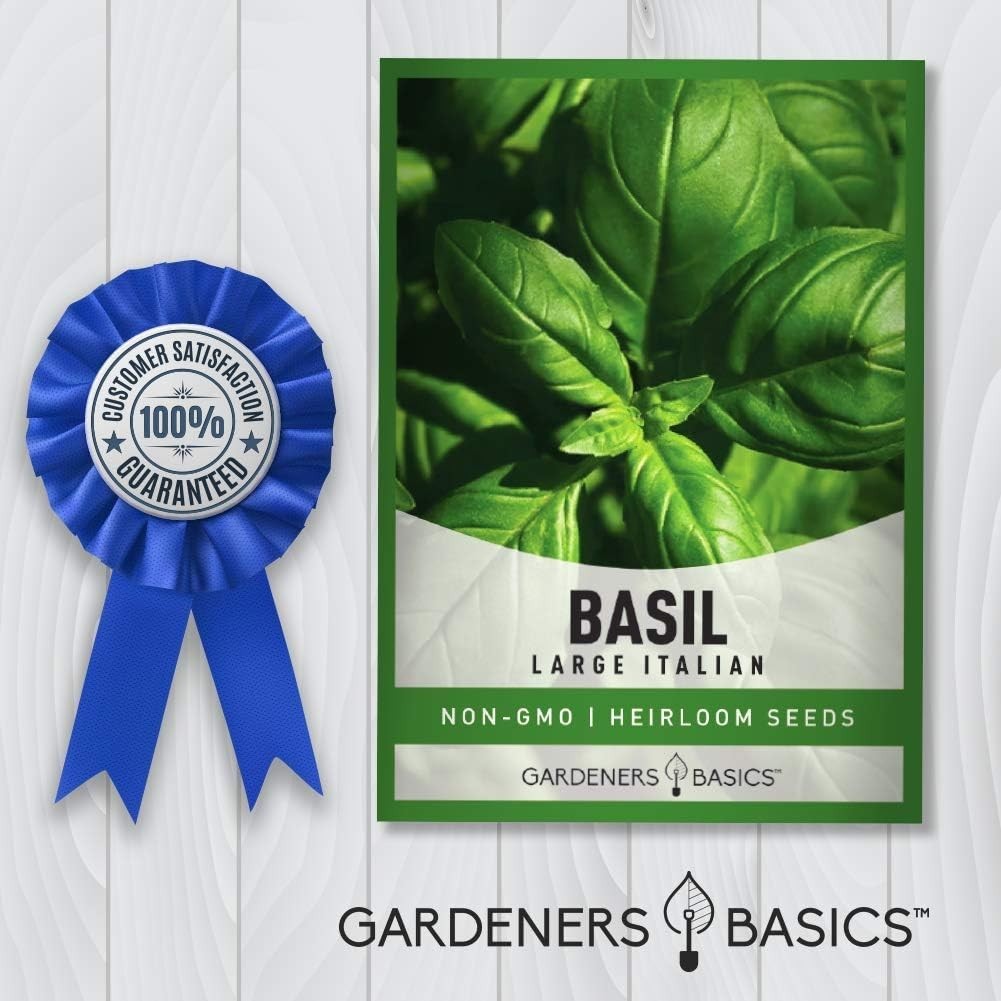 500mg Heirloom Large Leaf Basil Seeds – Grow Gourmet Herbs Indoors or Outdoors