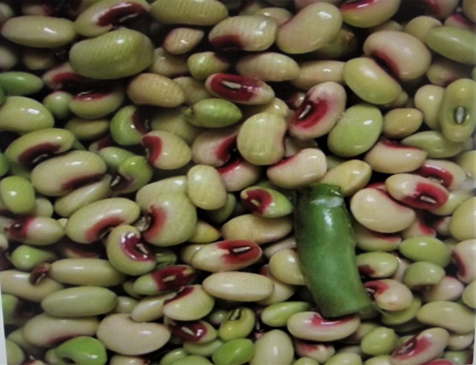 1 lb Top Pick Pinkeye Purple Hull Peas Cow Pea Germ: 80% Benefits St. Jude