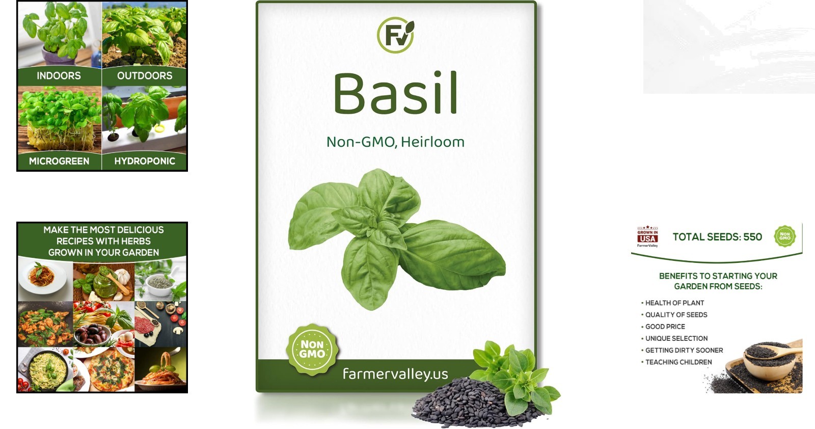 Non-GMO Basil Seeds – 550 Heirloom Seeds for Indoor, Outdoor, and Hydroponics
