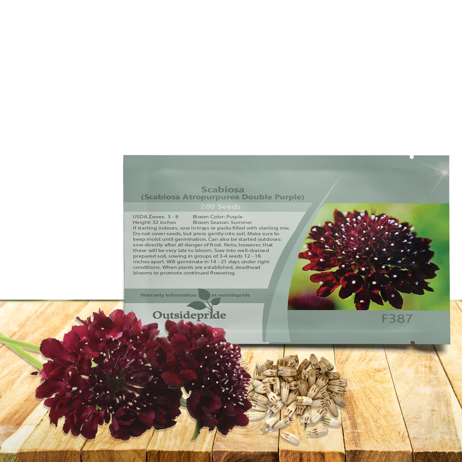 400 Seeds Scabiosa Purple Pincushion Drought Tolerant Garden Flower Plant Seed