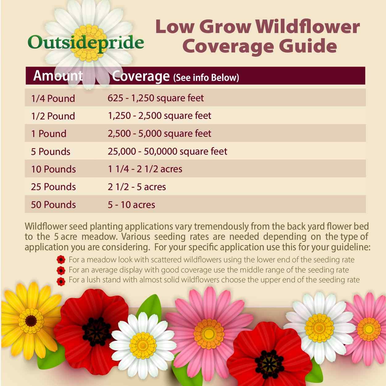 5 LBS Low growing wild flower seed from Outsidepride.