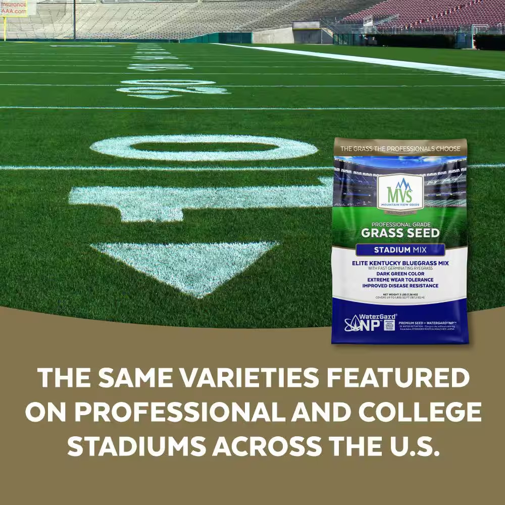 Mountain View Seeds Professional Grade Stadium Mix, Dark Green Color – 3 lbs.