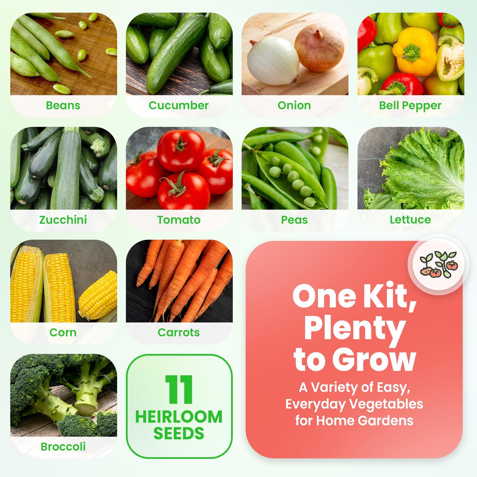 11 Heirloom Seeds for Planting Vegetables and Fruits, 4800 Survival Seed Vault a